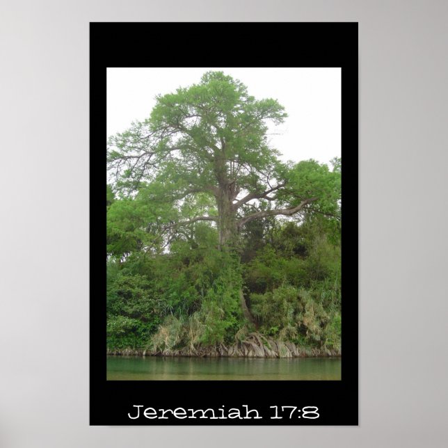 Jeremiah 17:8 poster (Front)