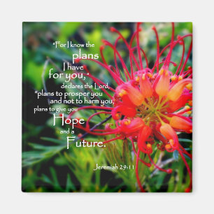 Jeremiah 29:11 A Hope and a Future Magnet