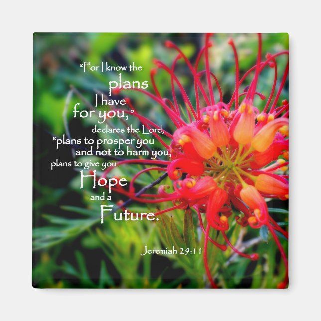 Jeremiah 29:11 A Hope and a Future Magnet (Front)