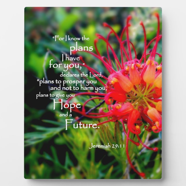 Jeremiah 29:11 A Hope and a Future Plaque (Front)
