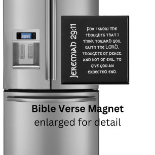 Jeremiah 29:11 Bible Verse  Magnet