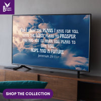 JEREMIAH 29:11 Christian Frame Art TV 