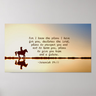 Jeremiah 29:11 For I know the plans I have for you Poster