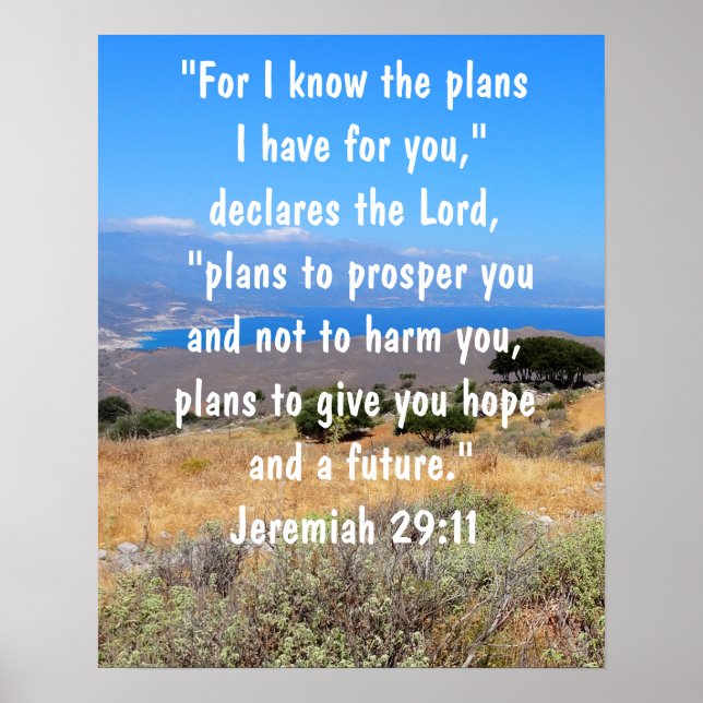 Jeremiah 29:11 God's Plans Bible Verse Vibrant Poster (Front)