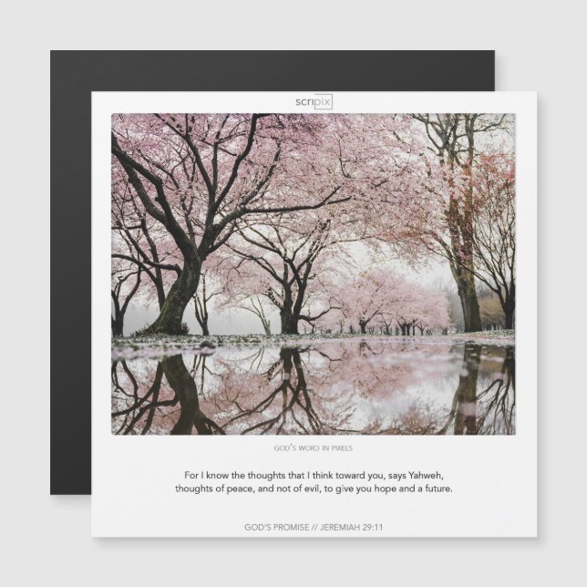 Jeremiah 29:11 GOD'S PROMISES SCRIPIX magnet card (Front/Back)
