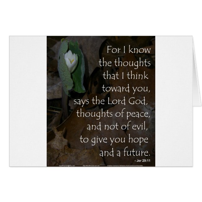 Jeremiah 29:11 hope for the future (Front Horizontal)