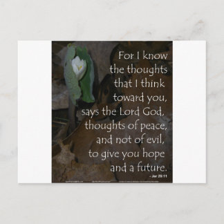 Jeremiah 29:11 hope for the future postcard