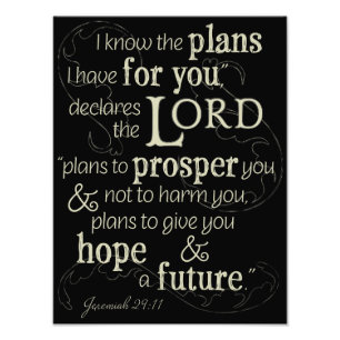 Jeremiah 29:11 I know the plans I have for you... Photo Print