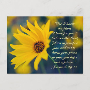 Jeremiah 29:11, I know the plans I have for you Postcard