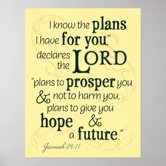 Jeremiah 29:11 I know the plans I have for you... Poster (Front)