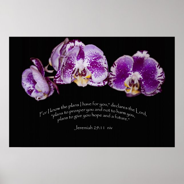 Jeremiah 29:11 poster (Front)