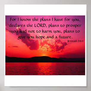 Jeremiah 29:11 poster