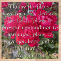 Jeremiah 29:11 Red Rose Inspirational Christian