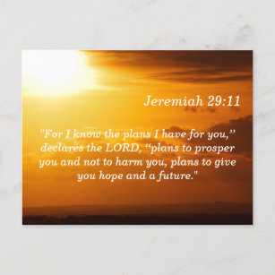 Jeremiah 29 11 Sunset Scripture Memory Card