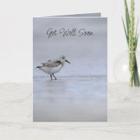 Jeremiah 33:3 Call to Me Bible Verse Wren Bird