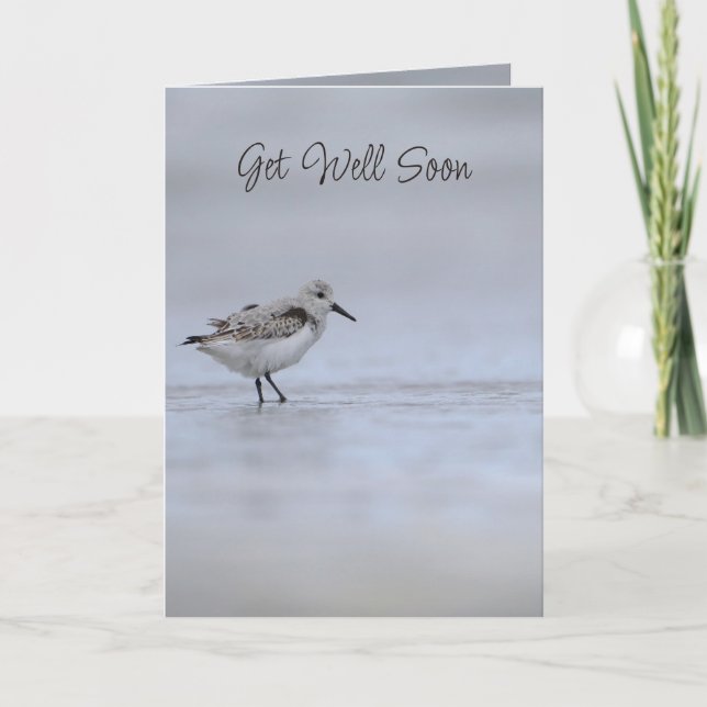 Jeremiah 33:3 Call to Me Bible Verse Wren Bird Card (Front)