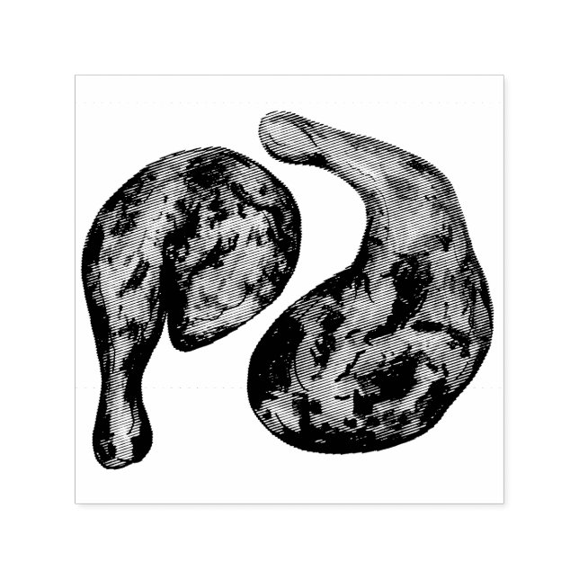 Jerk Chicken Caribbean West Indian Jamaican Food Self-inking Stamp (Design)