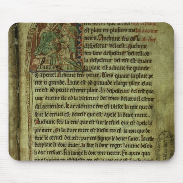 Jerome: A doctor visiting a patient Mouse Mat (Front)