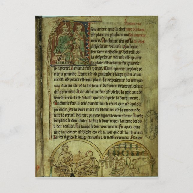 Jerome: A doctor visiting a patient Postcard (Front)