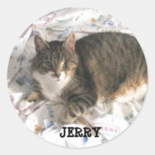 JERRY STICKER