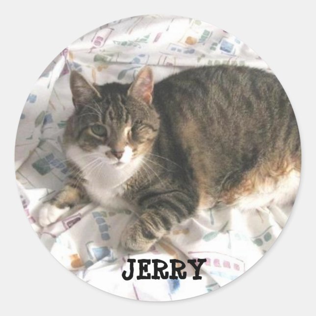 JERRY STICKER (Front)