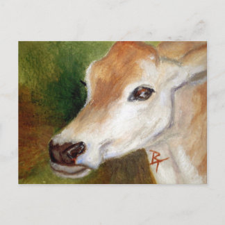 Jersey Cow aceo Postcard