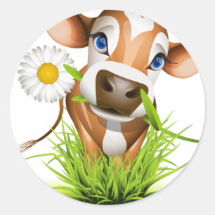 Jersey cow in grass classic round sticker