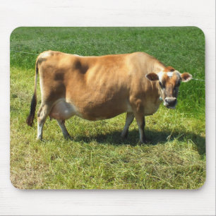 Jersey cow in the Channel Islands Mouse Mat