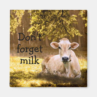 Jersey Cow Magnet