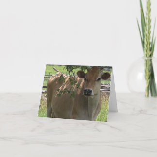 Jersey Cow Notecard