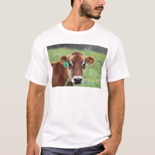 Jersey Cow T-Shirt