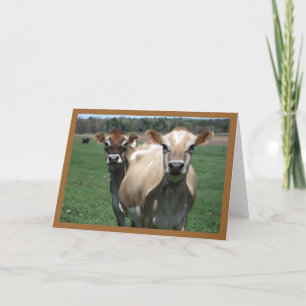 Jersey Cows Card