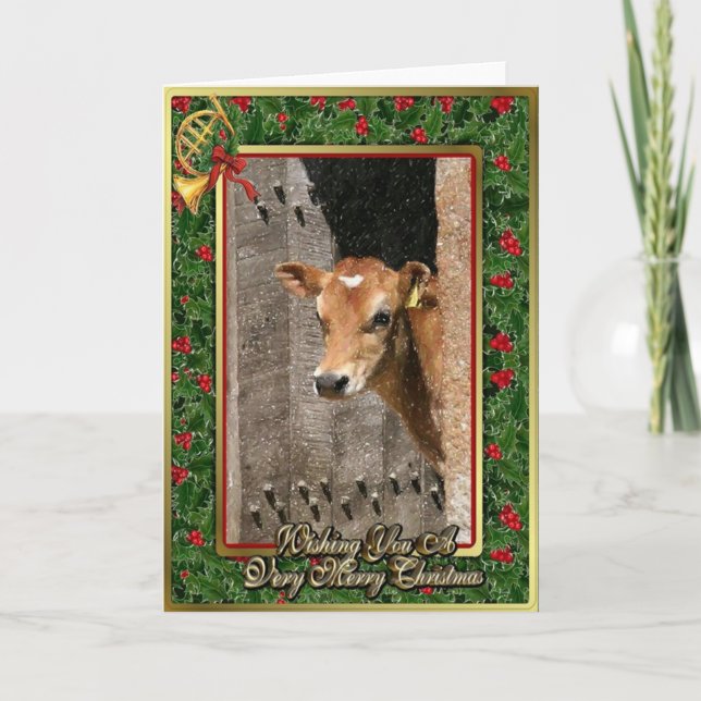 Jersey Dairy Calf Blank Christmas Card (Front)
