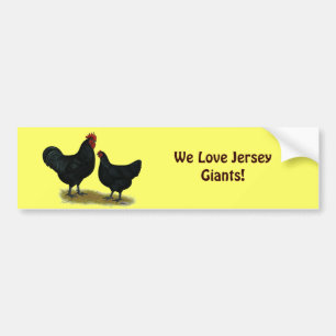 Jersey Giant Chickens Bumper Sticker