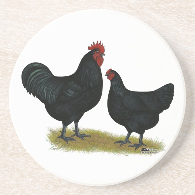 Jersey Giant Chickens Coaster (Front)