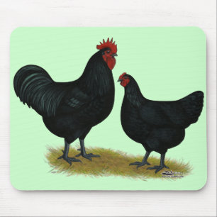 Jersey Giant Chickens Mouse Mat