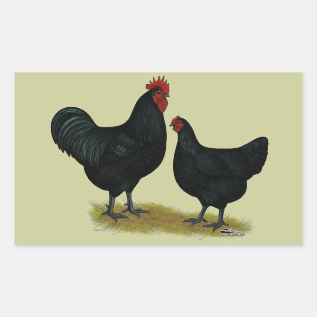Jersey Giant Chickens Rectangular Sticker (Front)