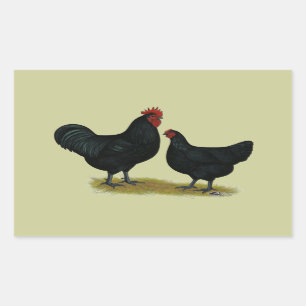 Jersey Giant Chickens Rectangular Sticker