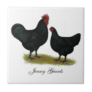 Jersey Giant Chickens Tile
