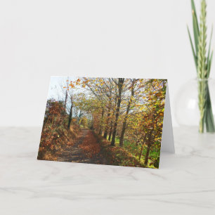 Jersey lane in autumn holiday card