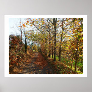 Jersey lane in autumn poster