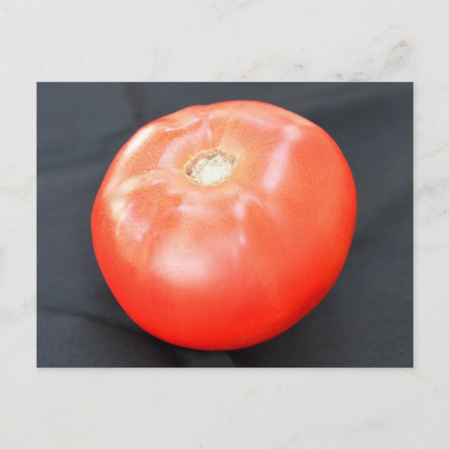 Jersey Tomato 3 Postcard (Front)