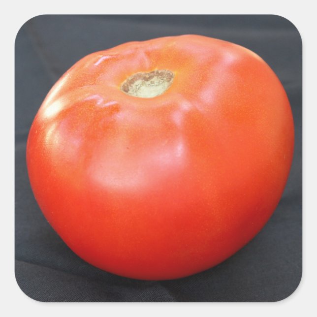 Jersey Tomato 4 Square Sticker (Front)