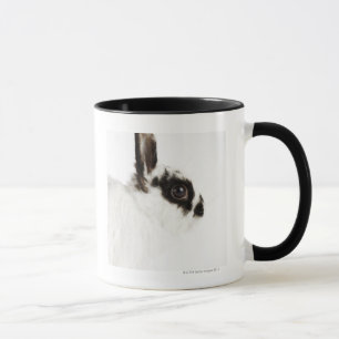 Jersey Wooly Rabbit Mug