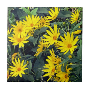 Jerusalem Artichoke Flowers Tile