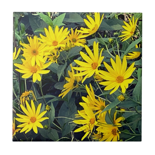 Jerusalem Artichoke Flowers Tile (Front)