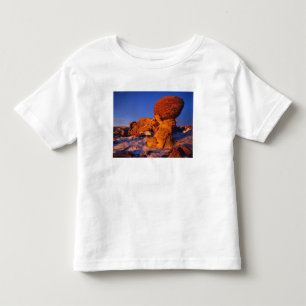 Jerusalem Rocks in Winter near Sweetgrass Toddler T-Shirt