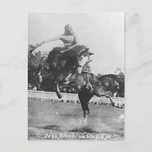 Jess Stahl on Glass Eye. Postcard (Front)