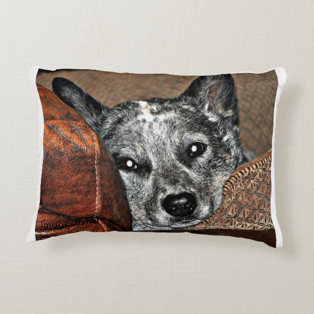 Jessie...the Texas Heeler Pillow (Back)