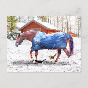 "Jessie's New Blanket" Postcard
